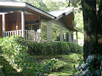 Hotel Sapo Dorado