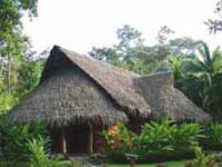 Hotel Cariblue