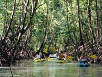 kayak damas