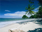 the best of the Pacific