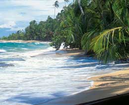Tropical Experience