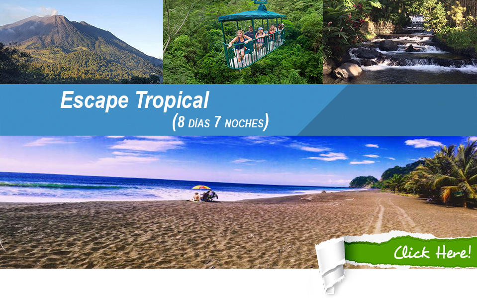 escape tropical