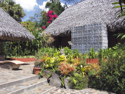 Xandari Plantations