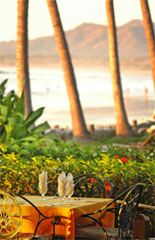 tamarindo diria