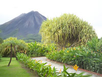 Montaña de fuego