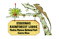 Esquinas Rainforest Lodge