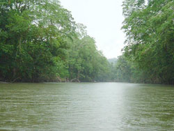 Northern Lowlands Costa Rica