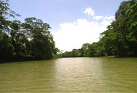 Ca&ntilde;o Negro River