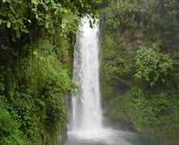 packaged tour to waterfall