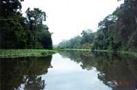 tour to Tortuguero