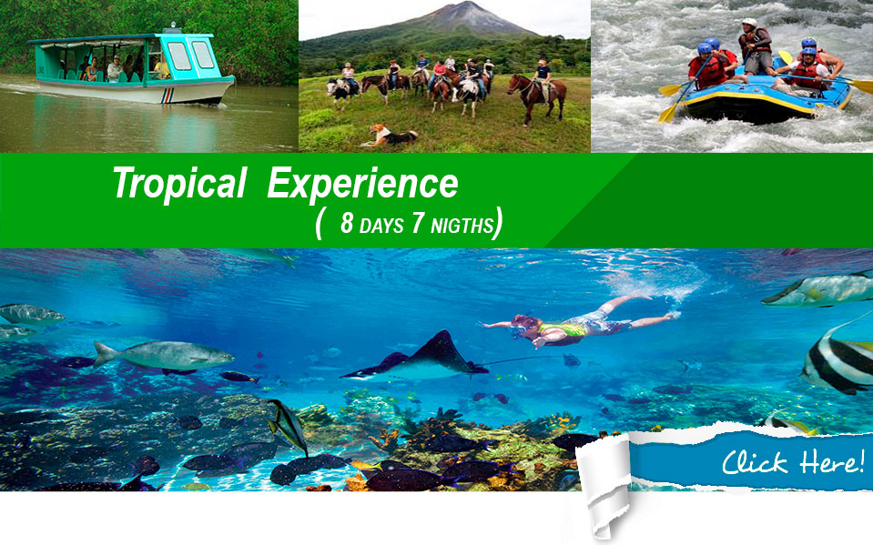 costa rica tropical experience