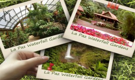 La Paz Waterfall Gardens One Day Tour
